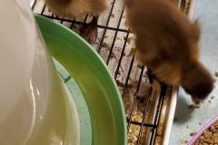 20220414_162306-rotated