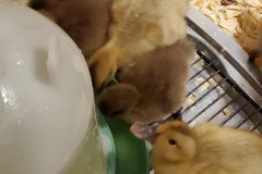 20220419_074238-1-rotated